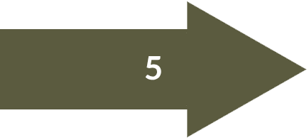 Launch The Program