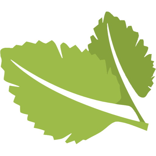 Oregano Leafs