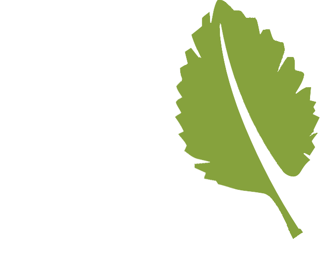 leaf 1