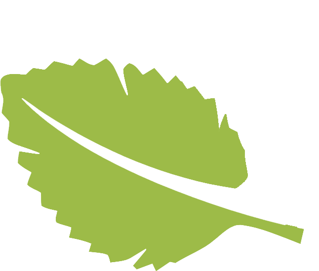 Leaf Logo