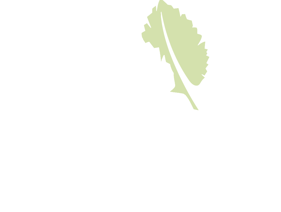Footer Logo