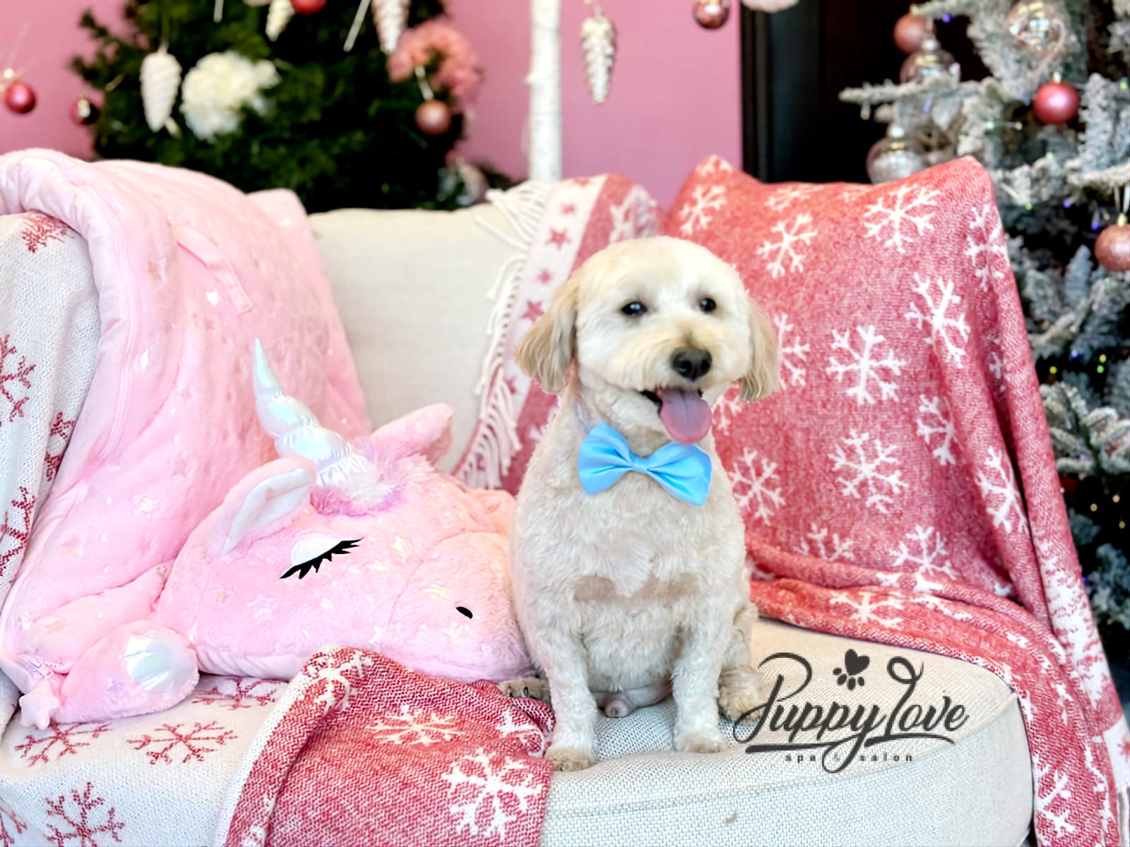 xmas dog