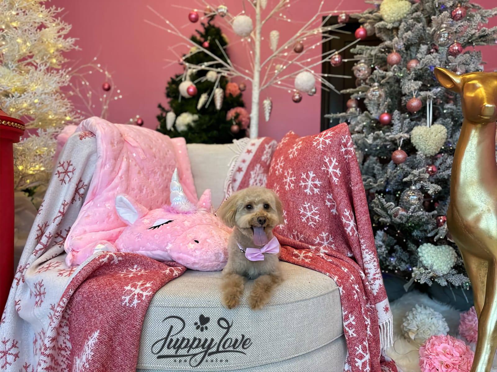 xmas dog