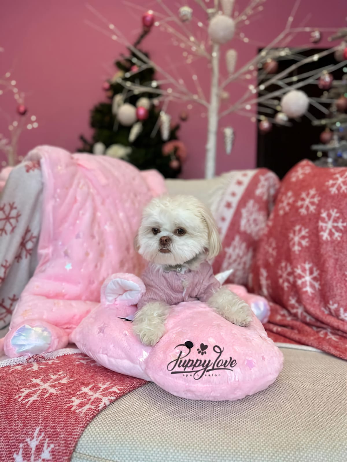 xmas dog