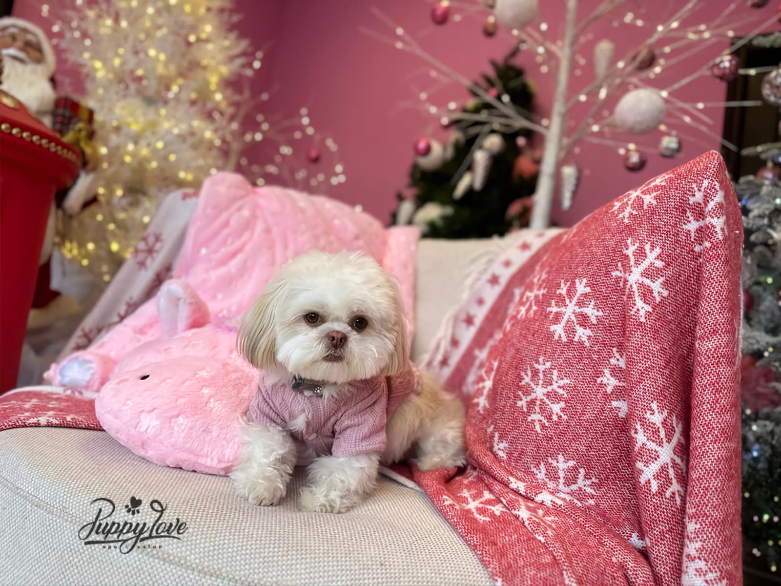 xmas dog