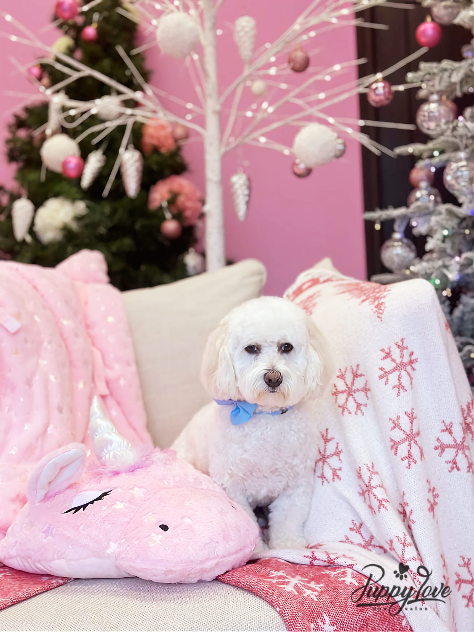 xmas-dog-28