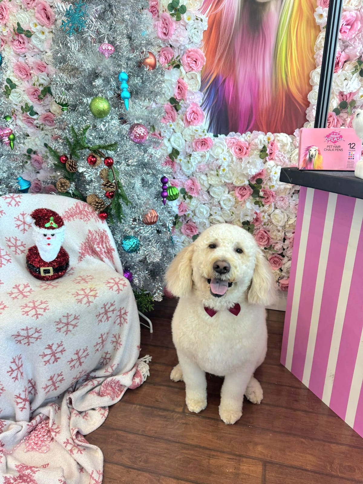 christmas dog 318