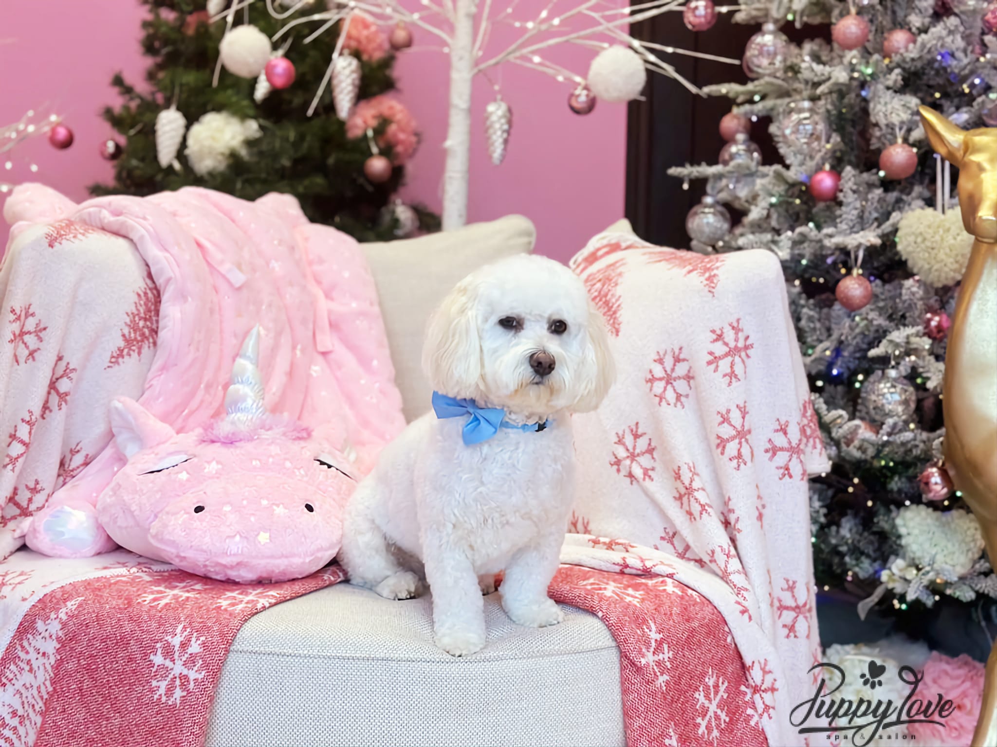 xmas-dog-32