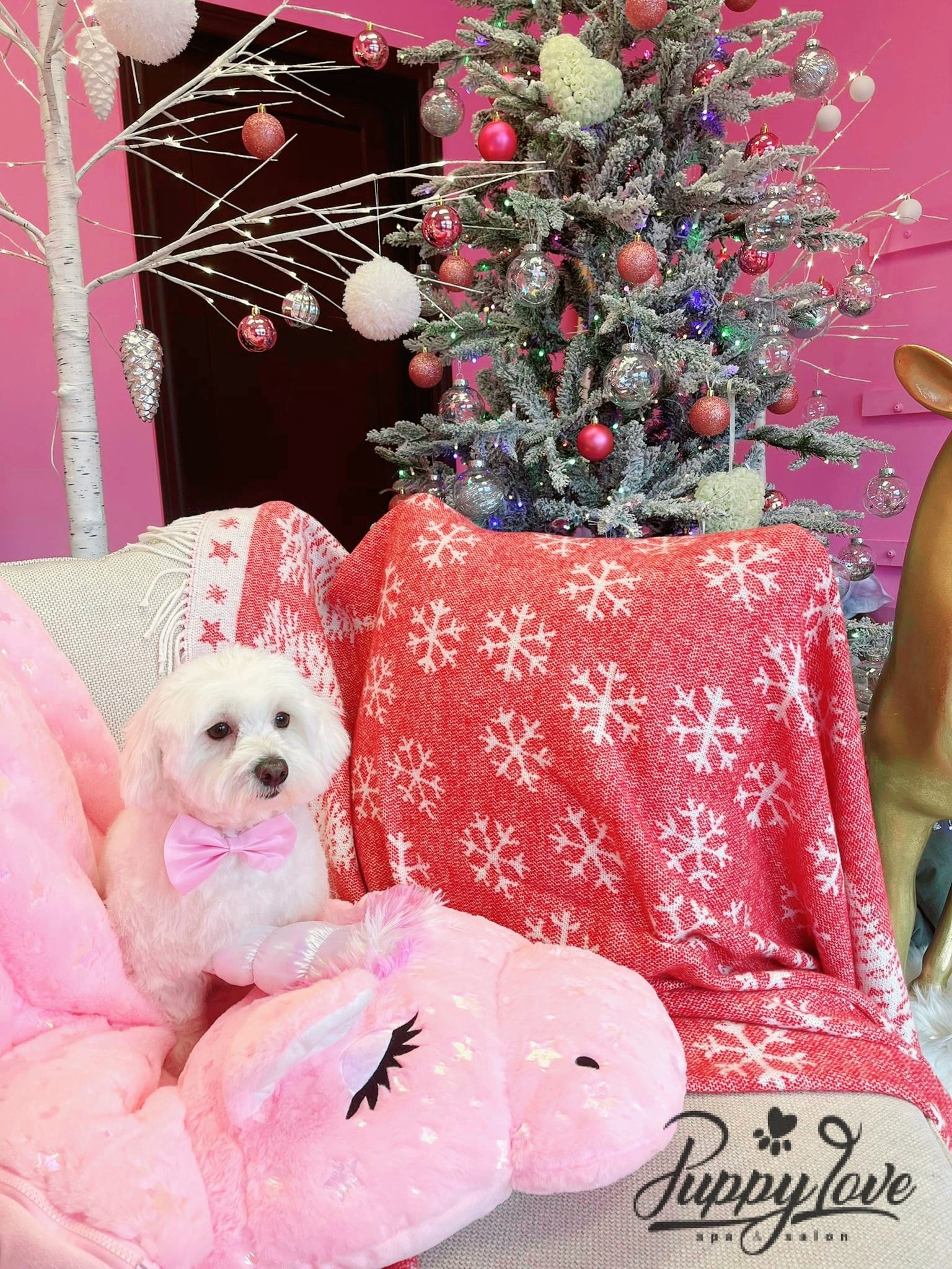 xmas-dog-34