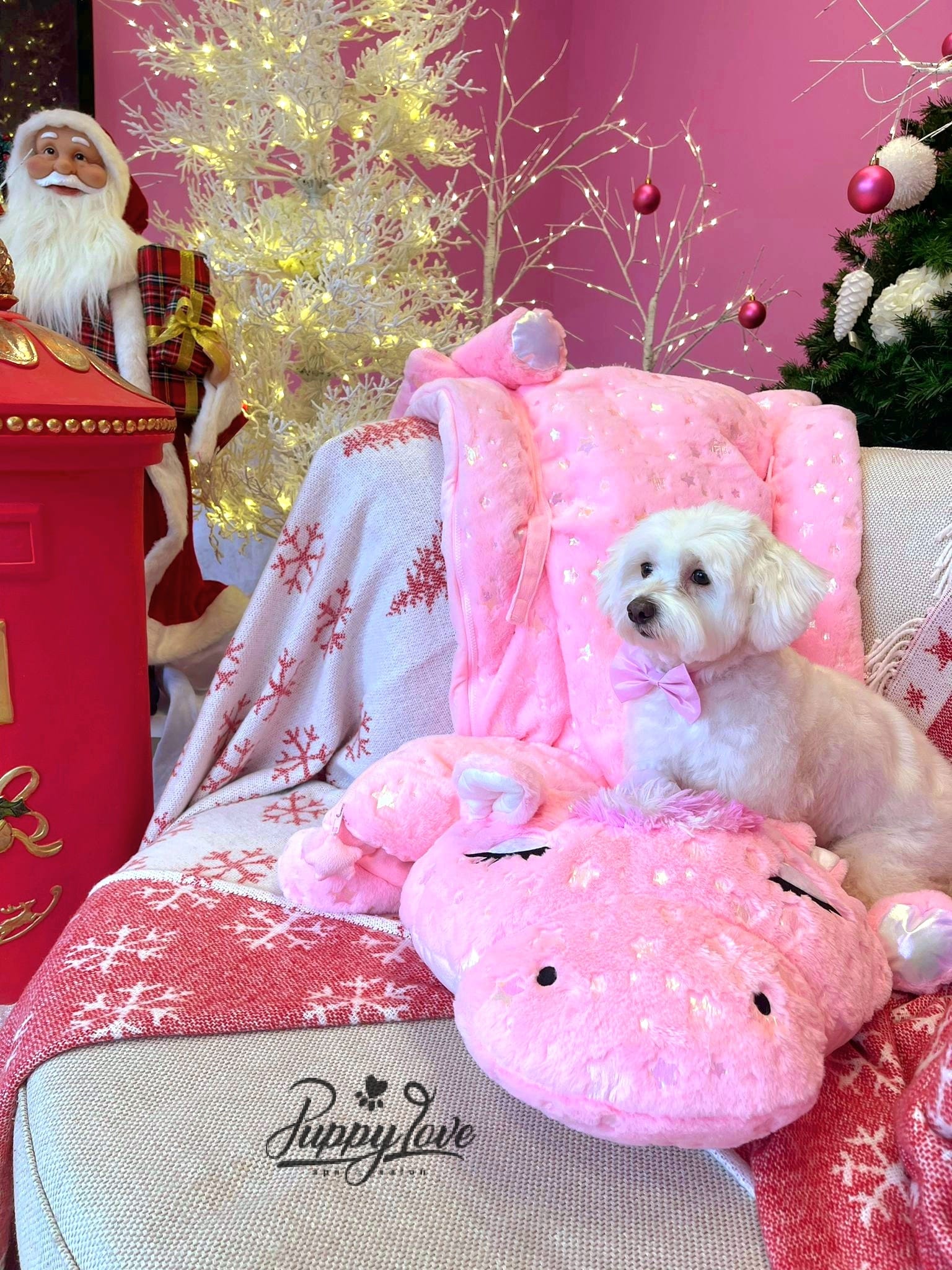 xmas-dog-40