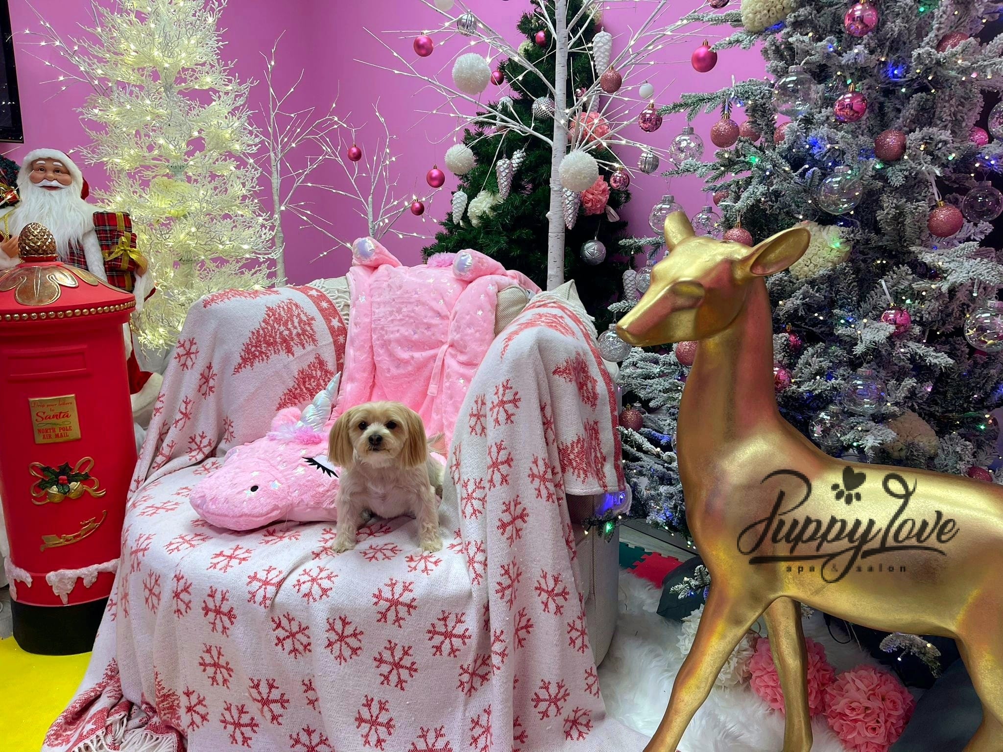 xmas-dog-42