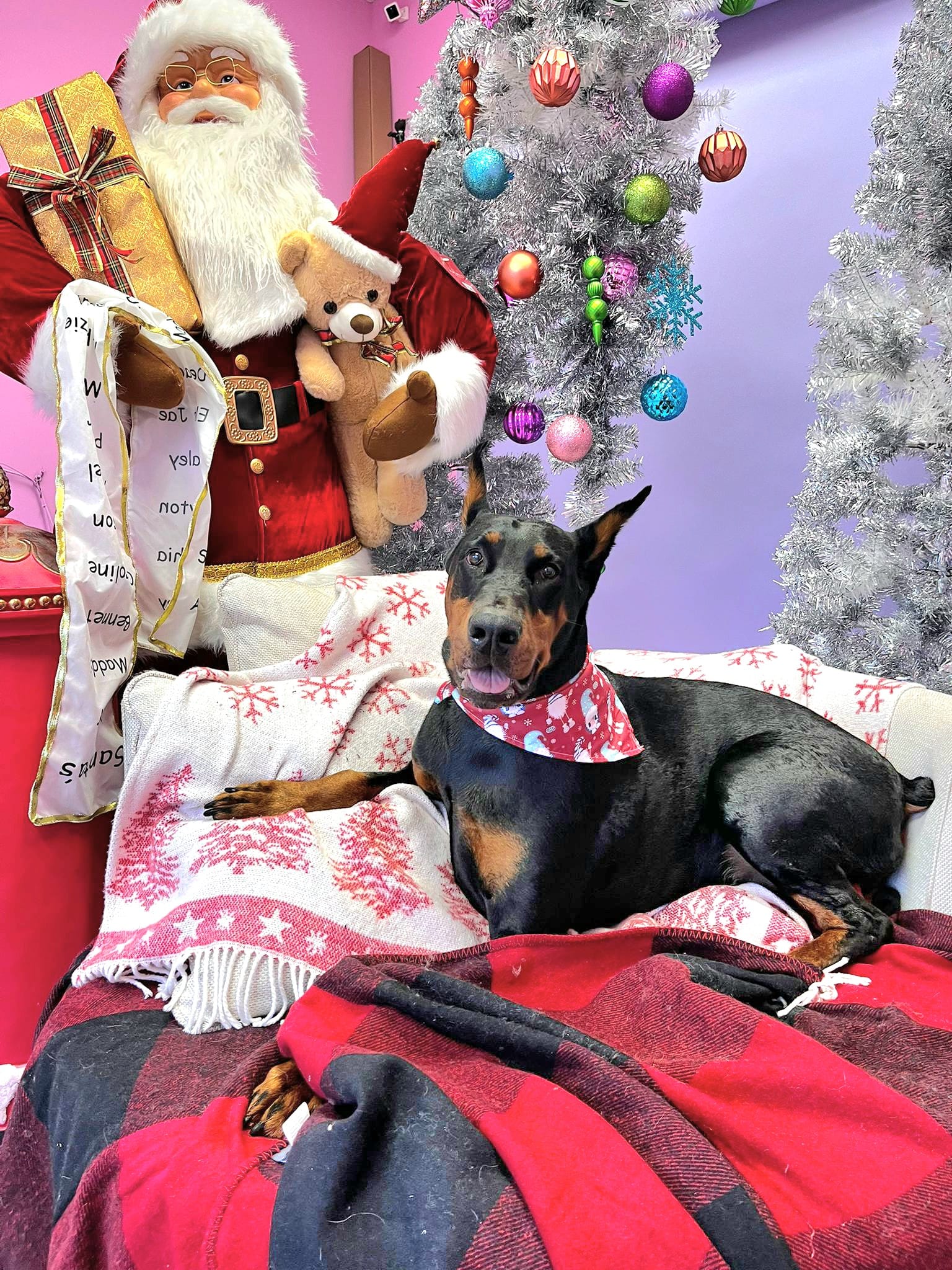 christmas dog 280