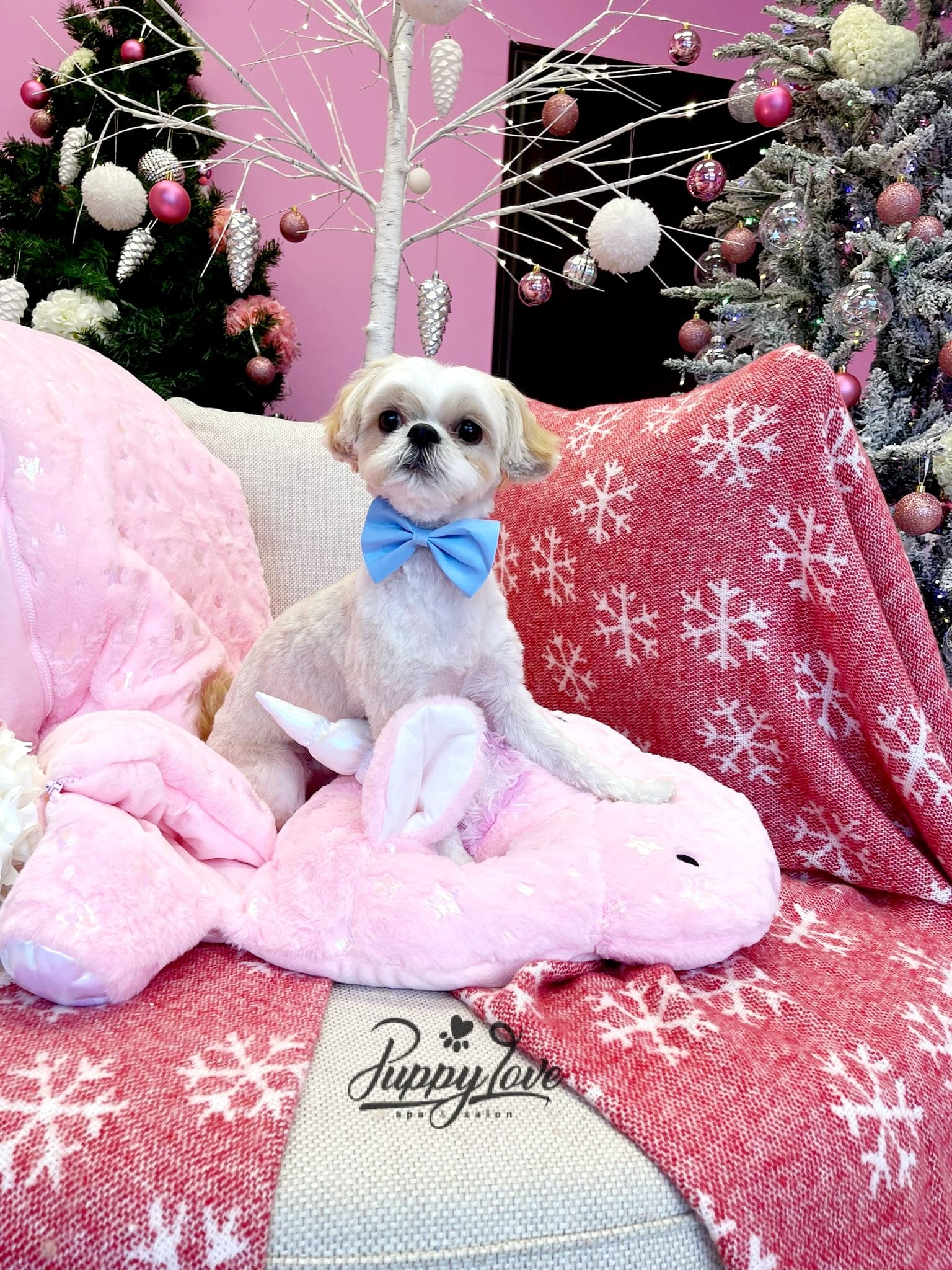 xmas-dog-45