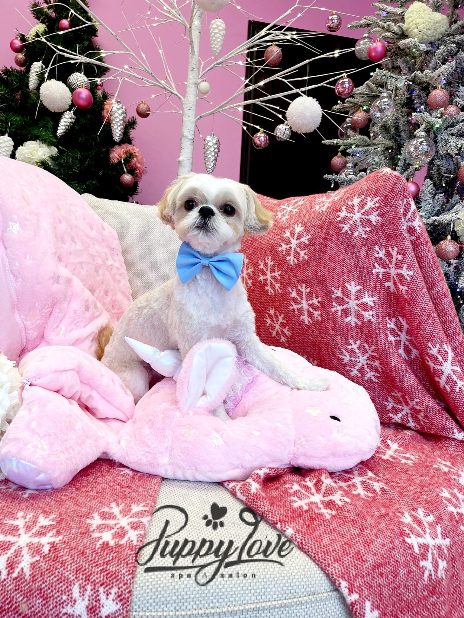 xmas-dog-47