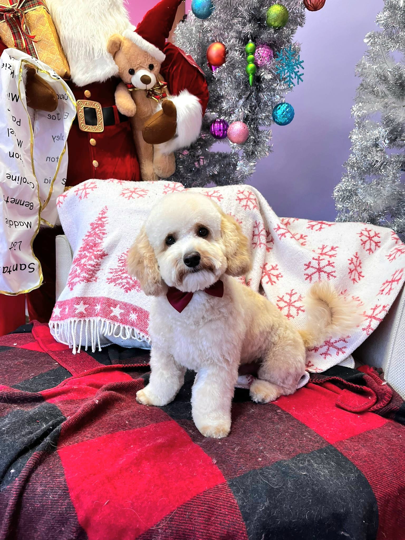 christmas dog 266