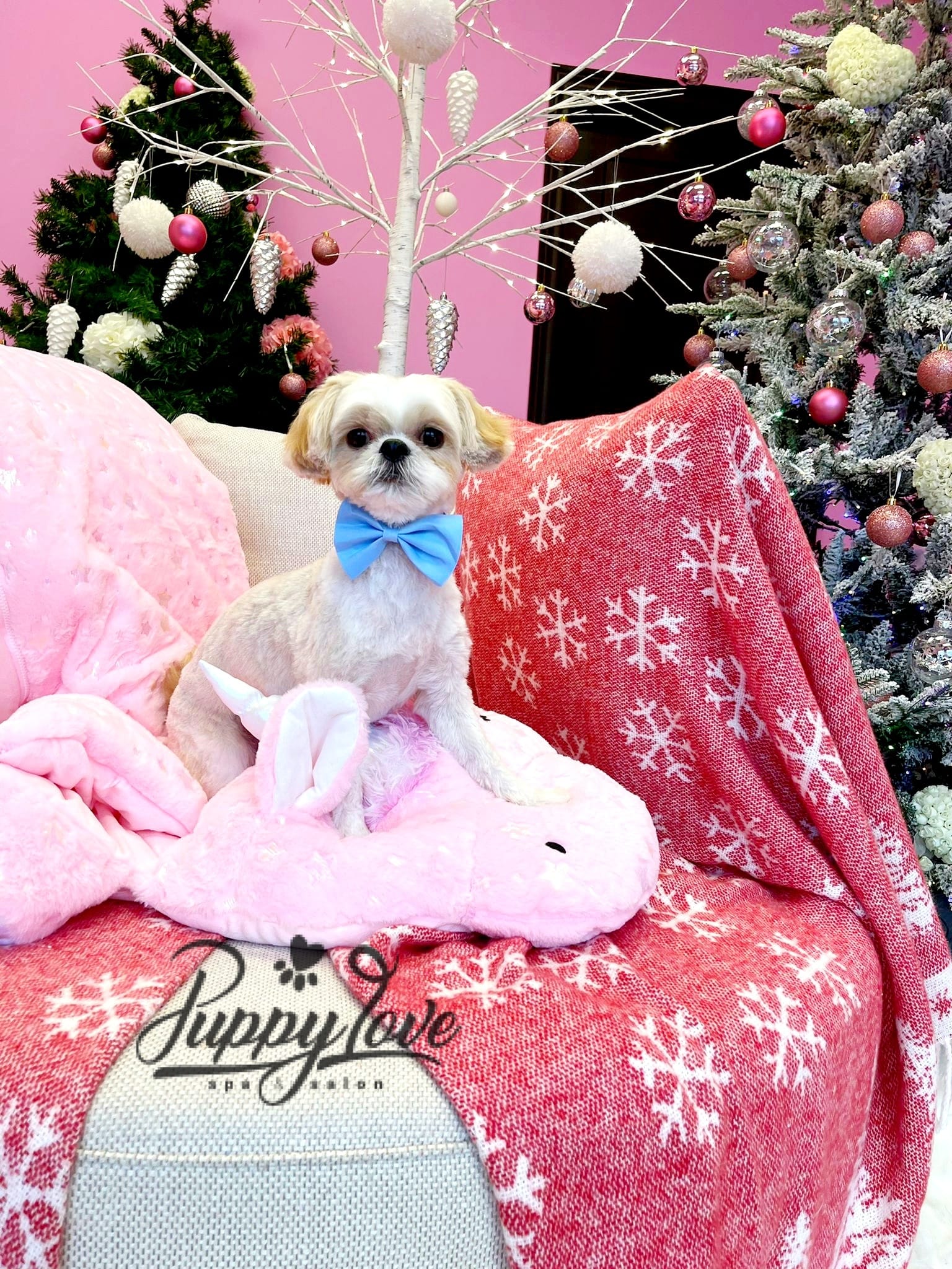xmas-dog-51