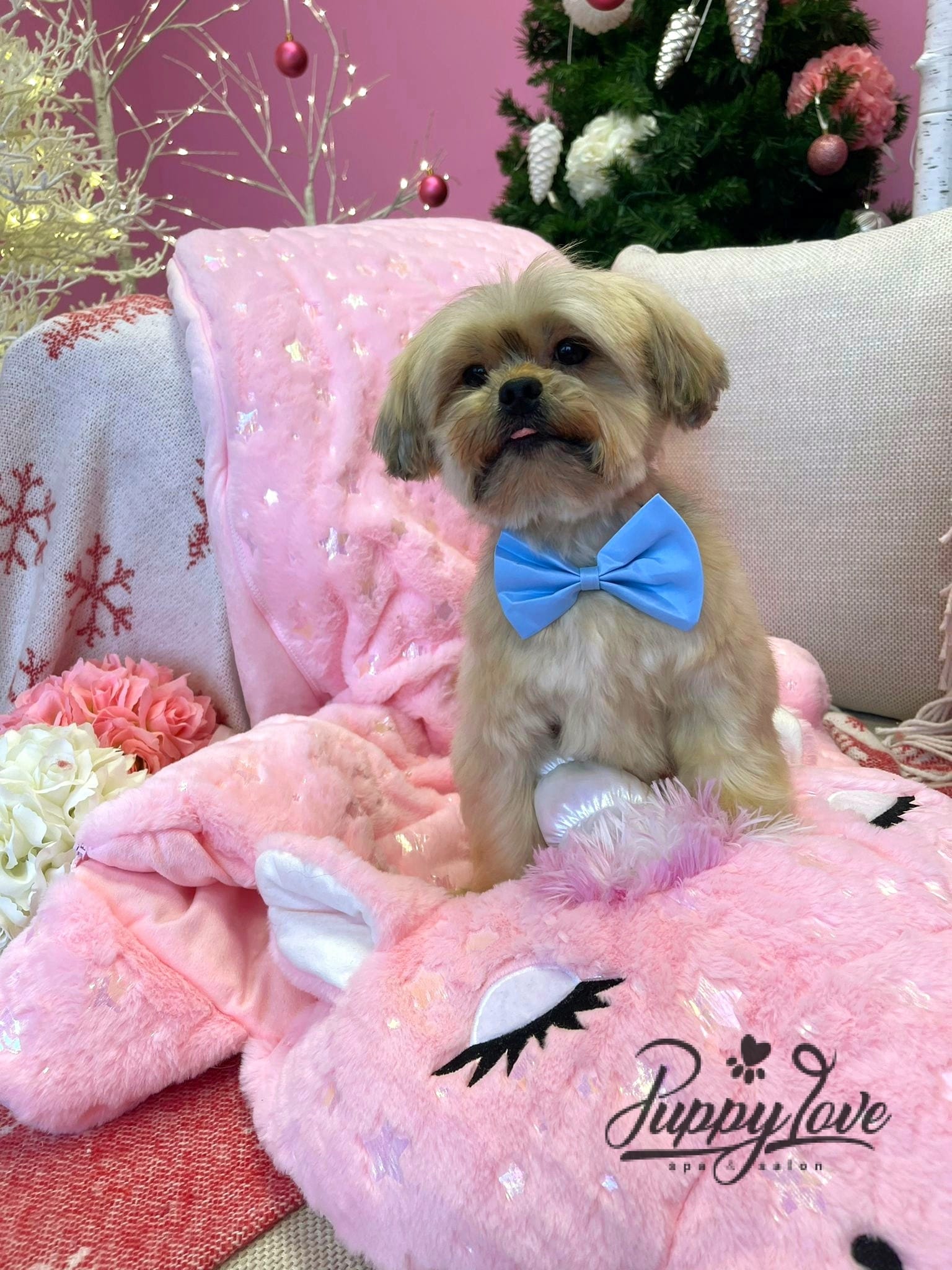 xmas-dog-53