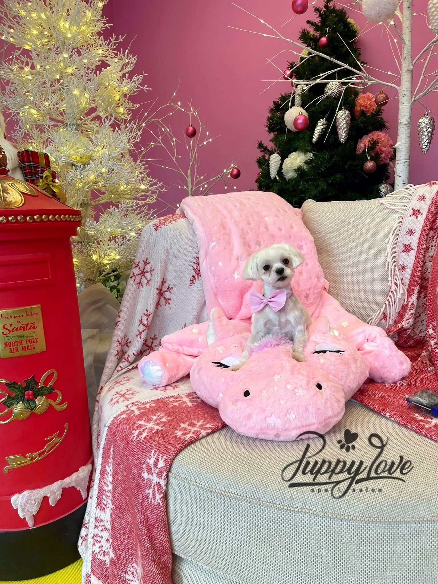 xmas-dog-54