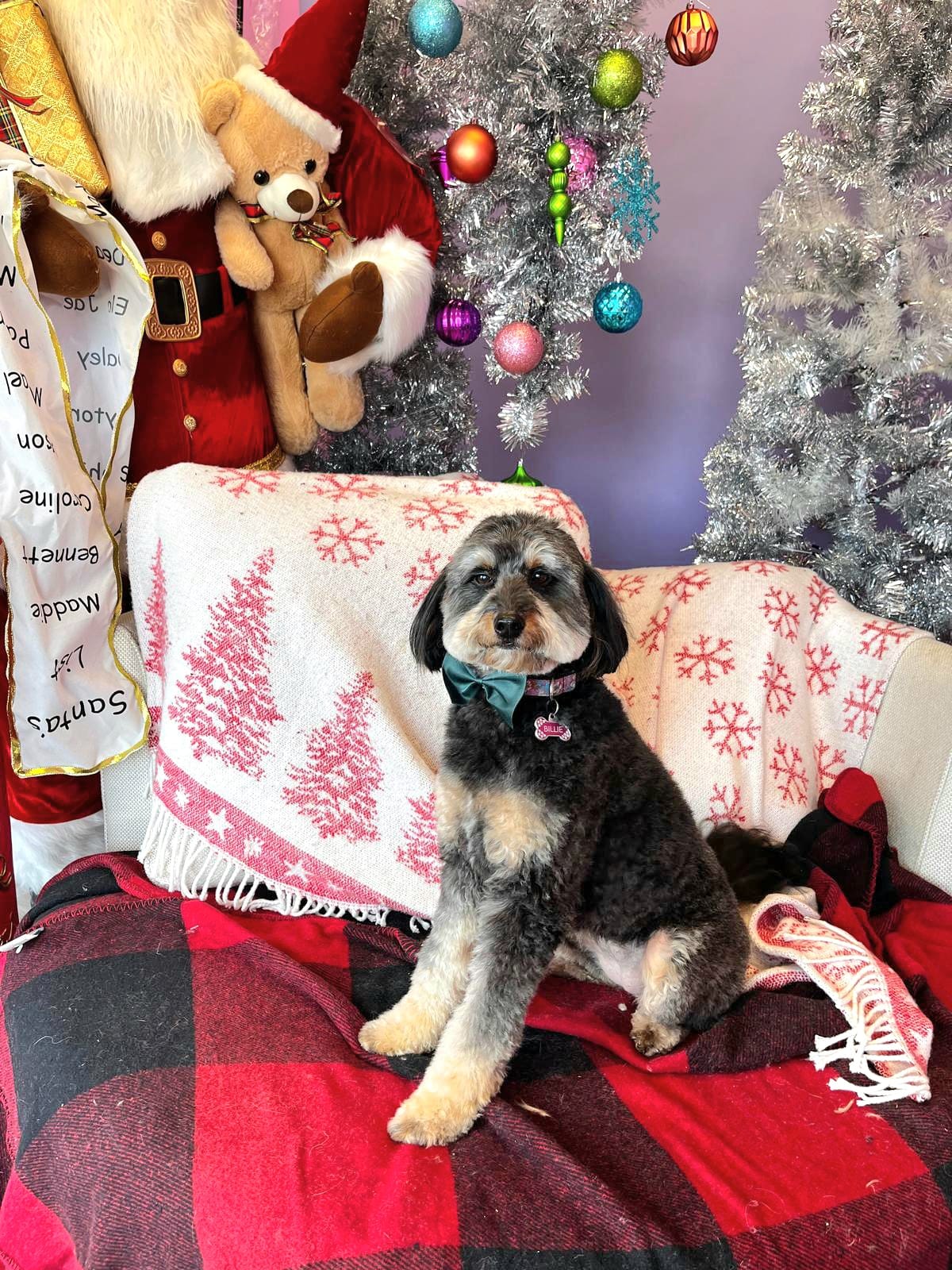 christmas dog 267