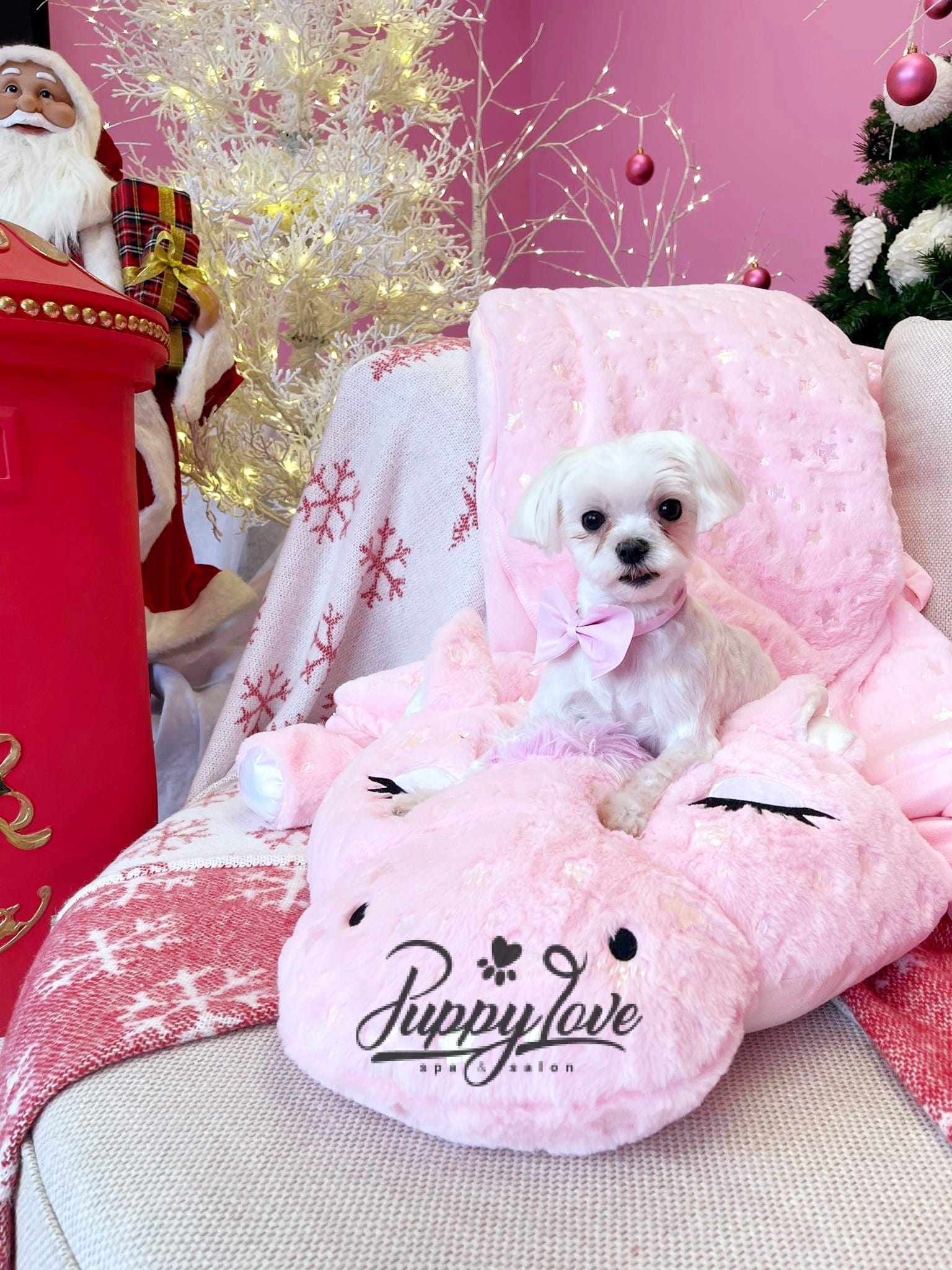 xmas-dog-55