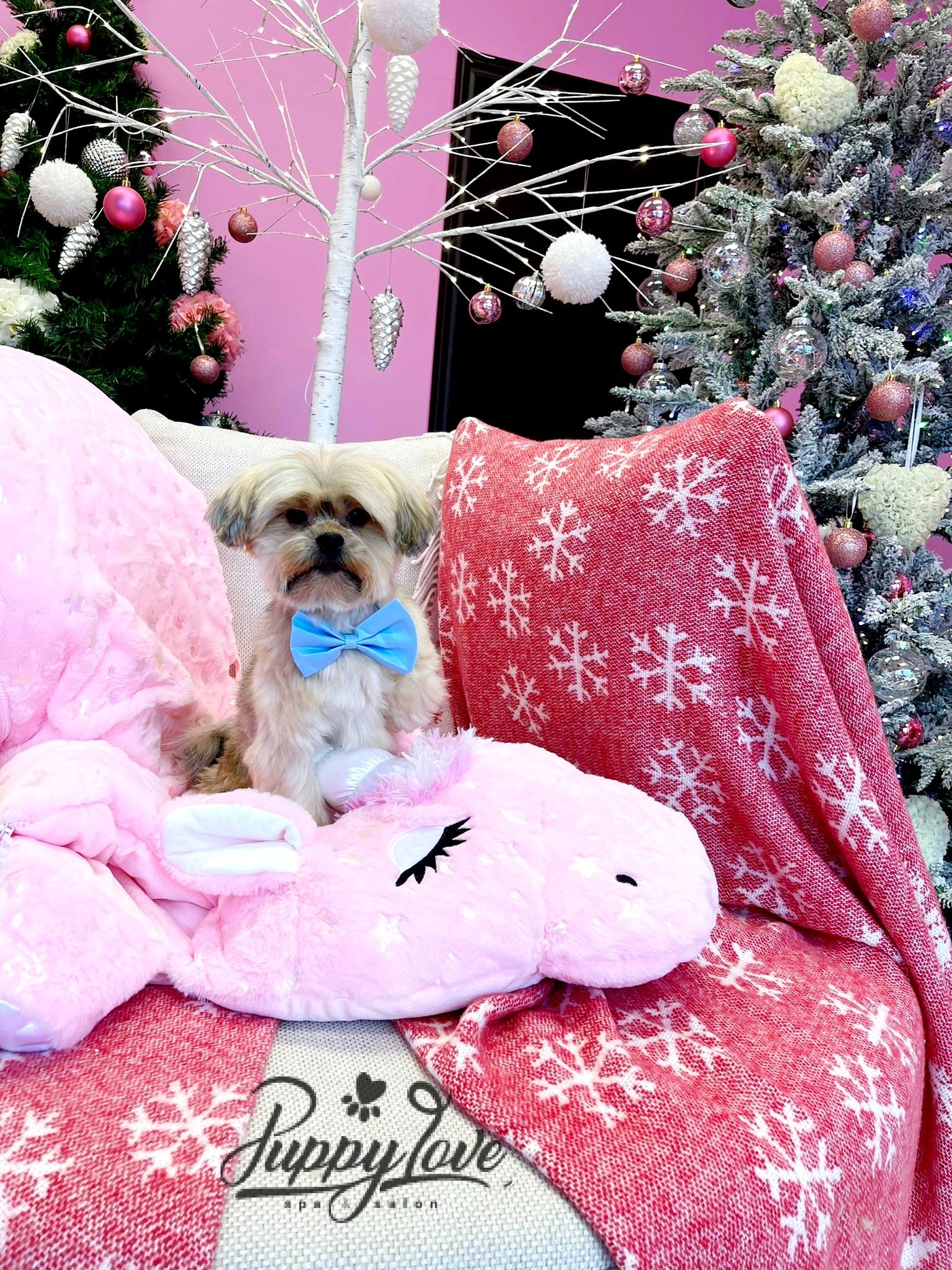 xmas-dog-56