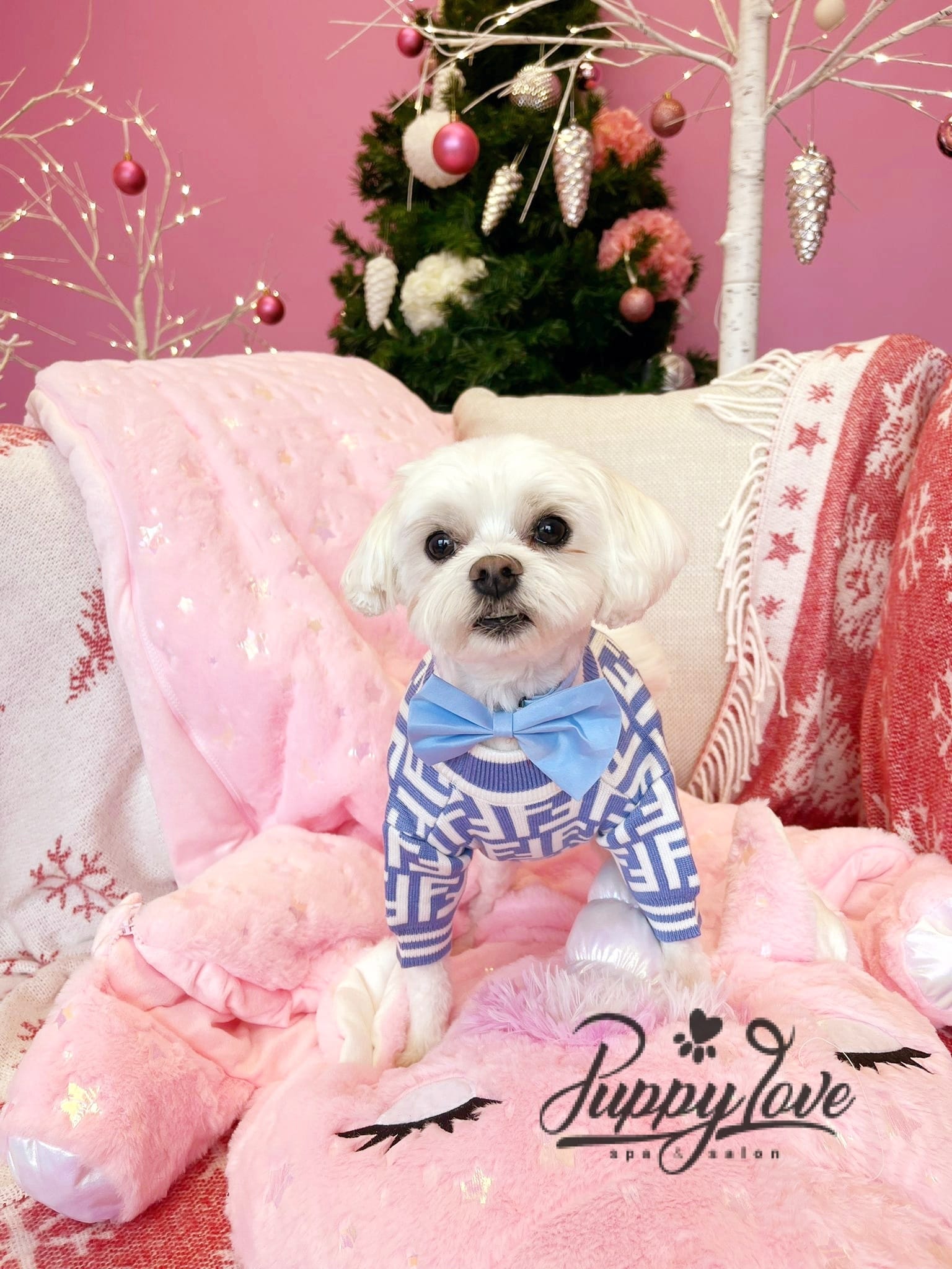 xmas dog
