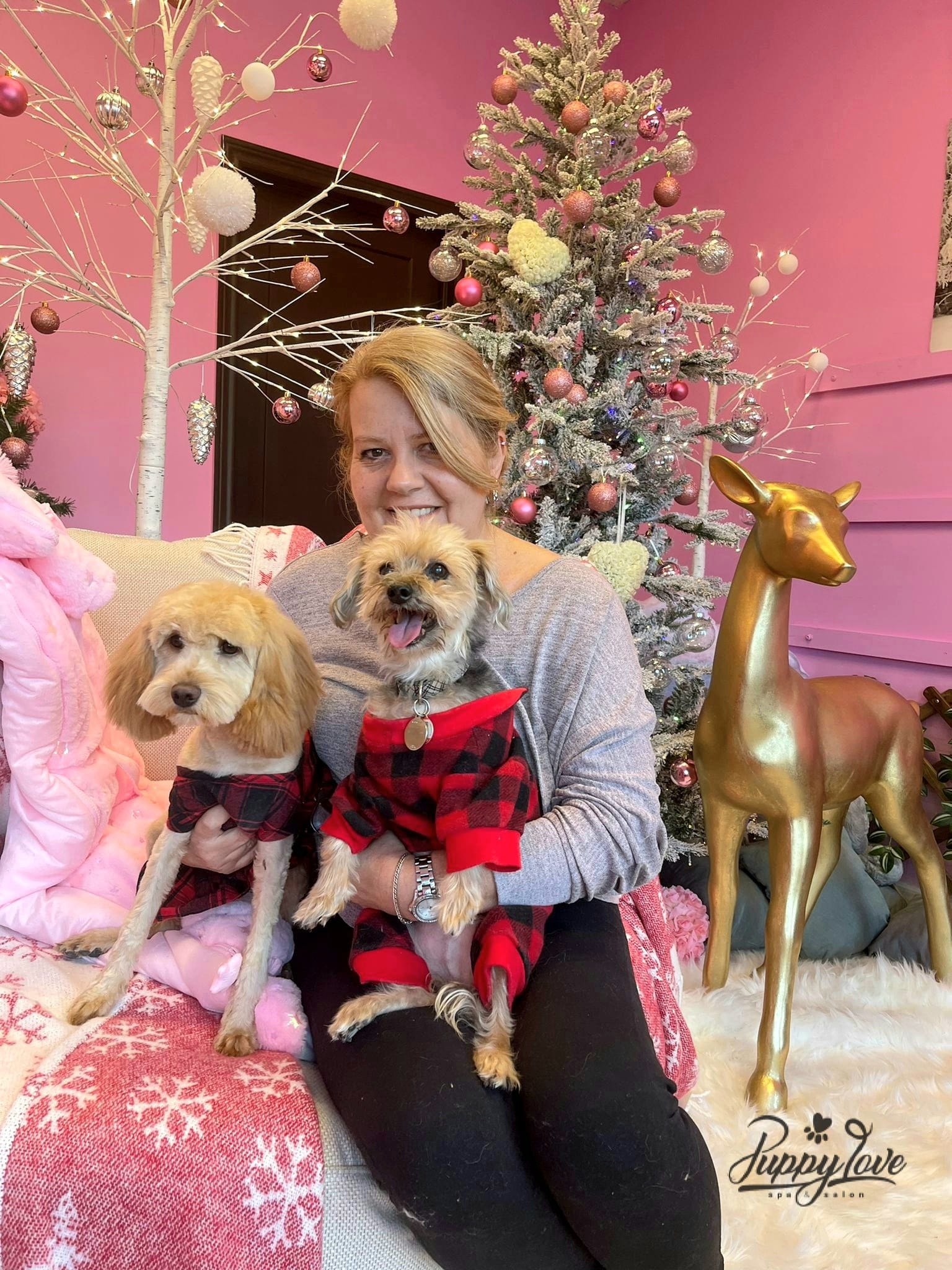 xmas dog
