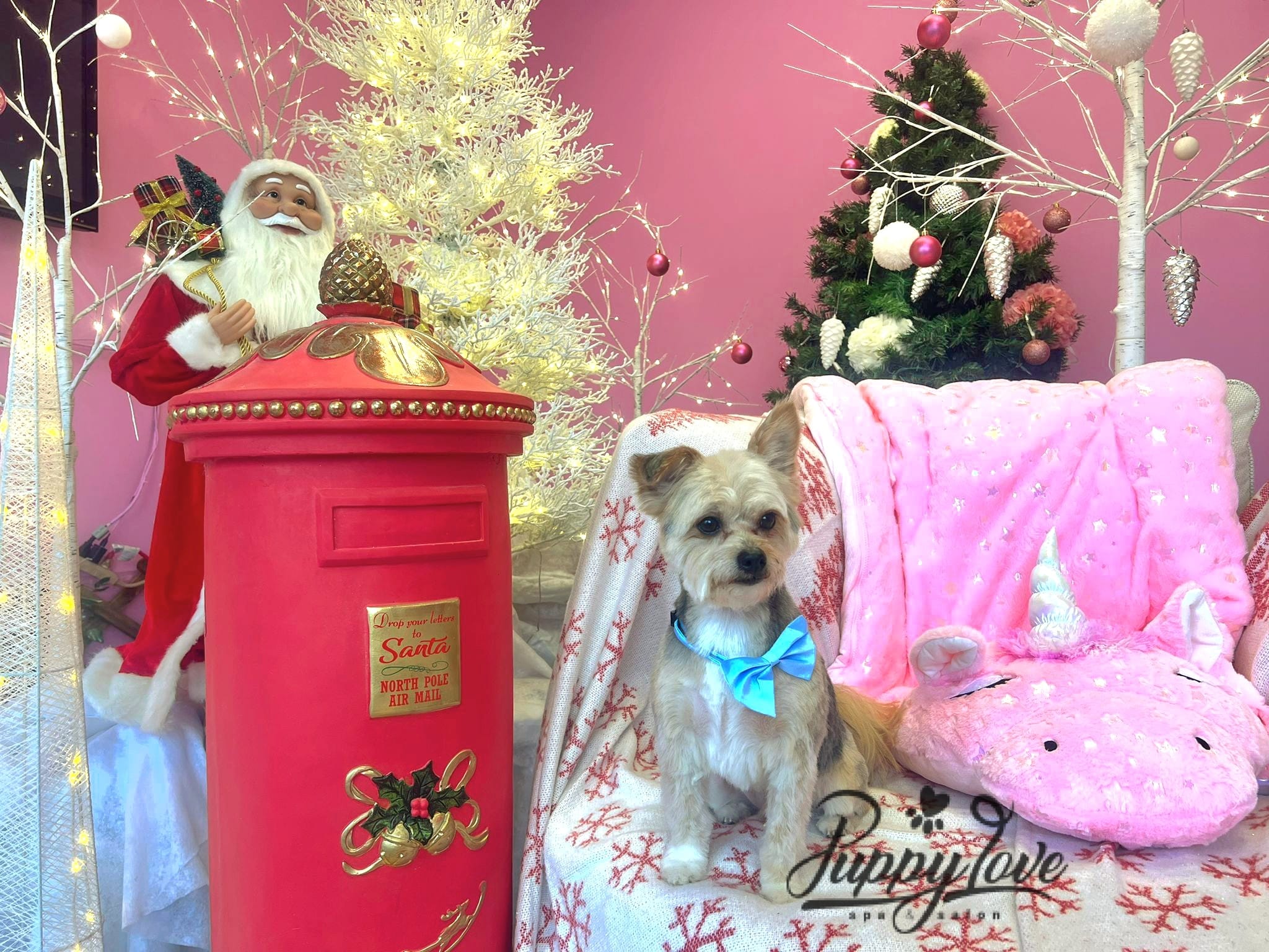 xmas-dog-6