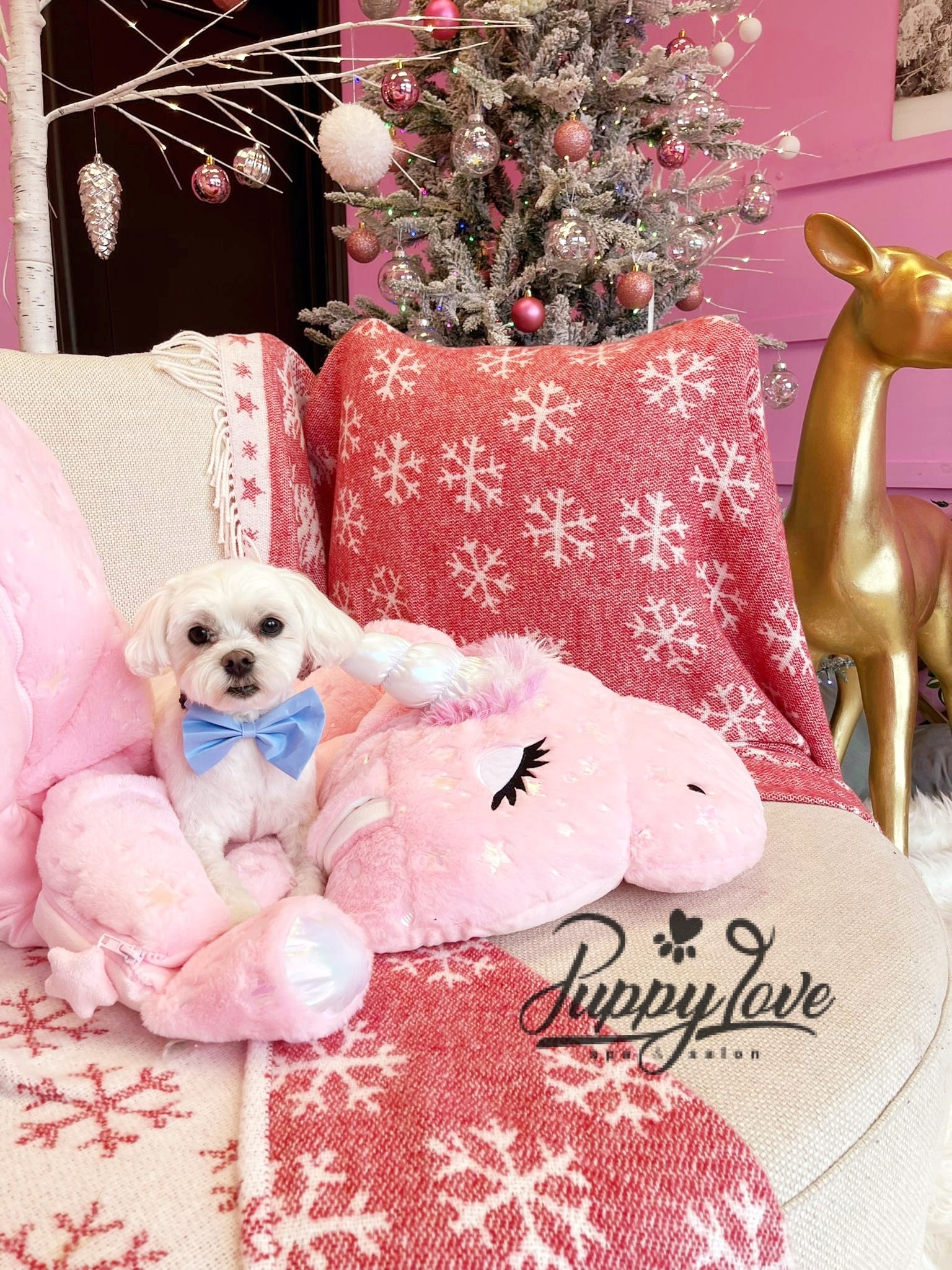 xmas dog