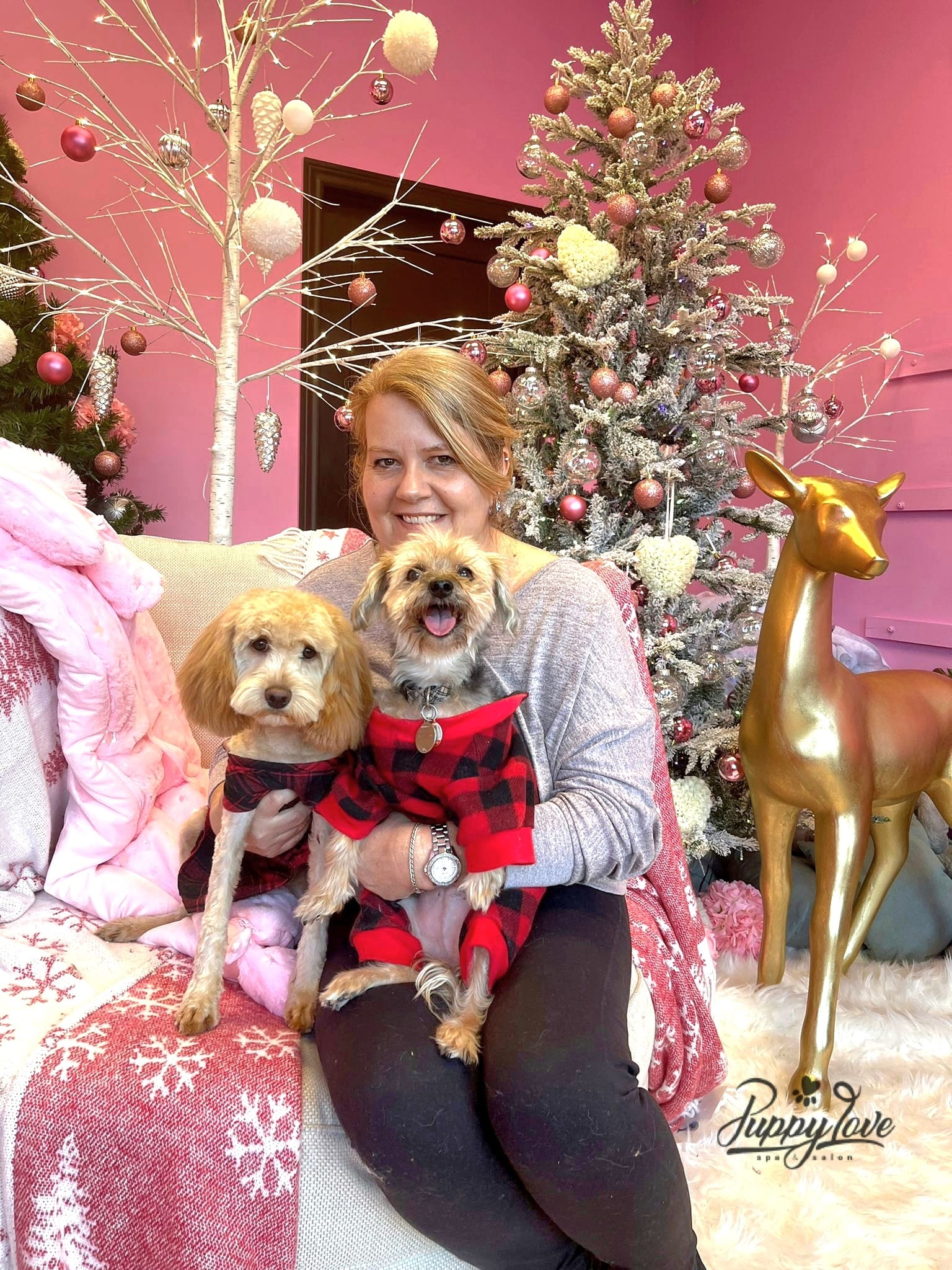 xmas dog