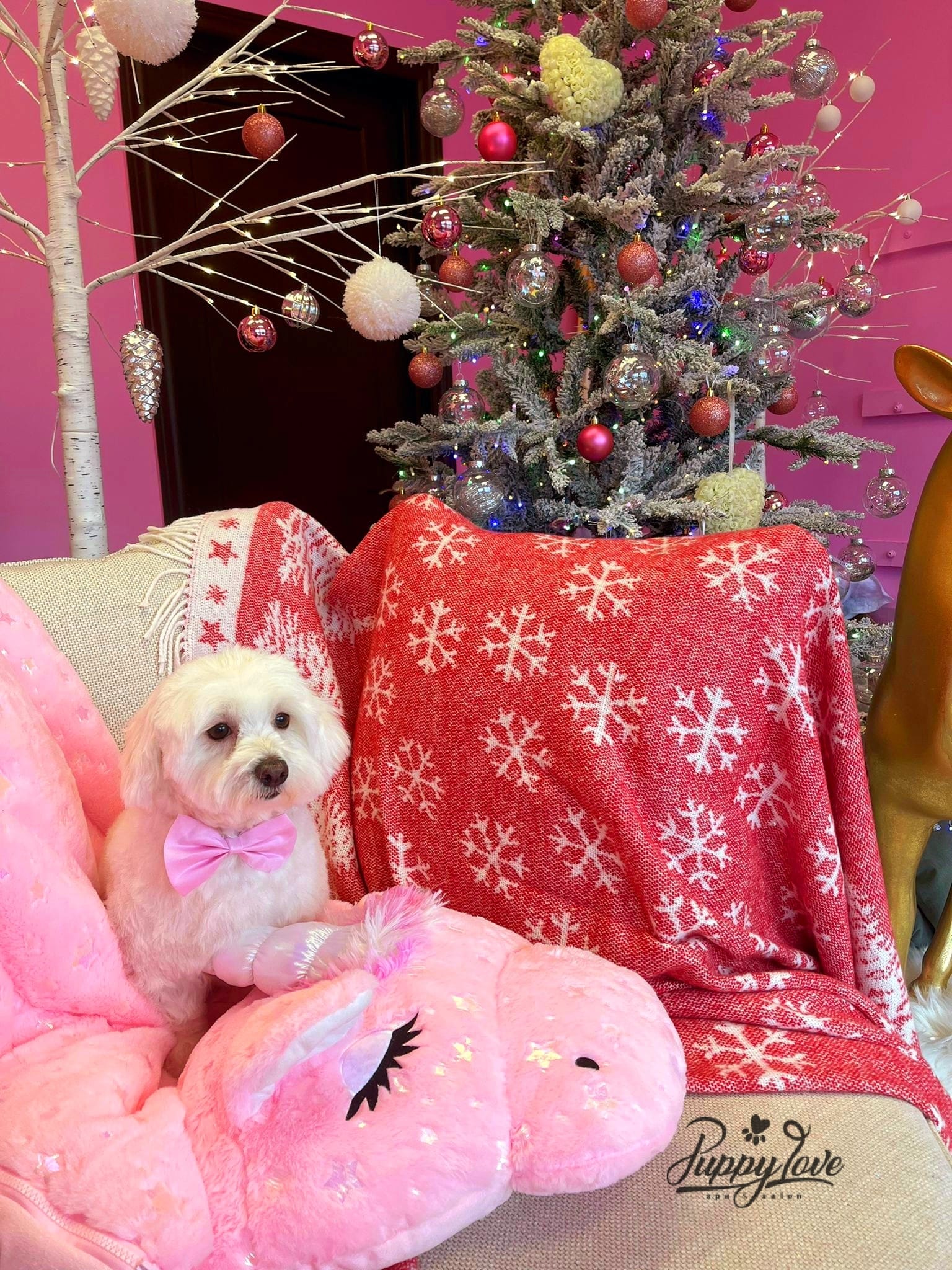 xmas dog