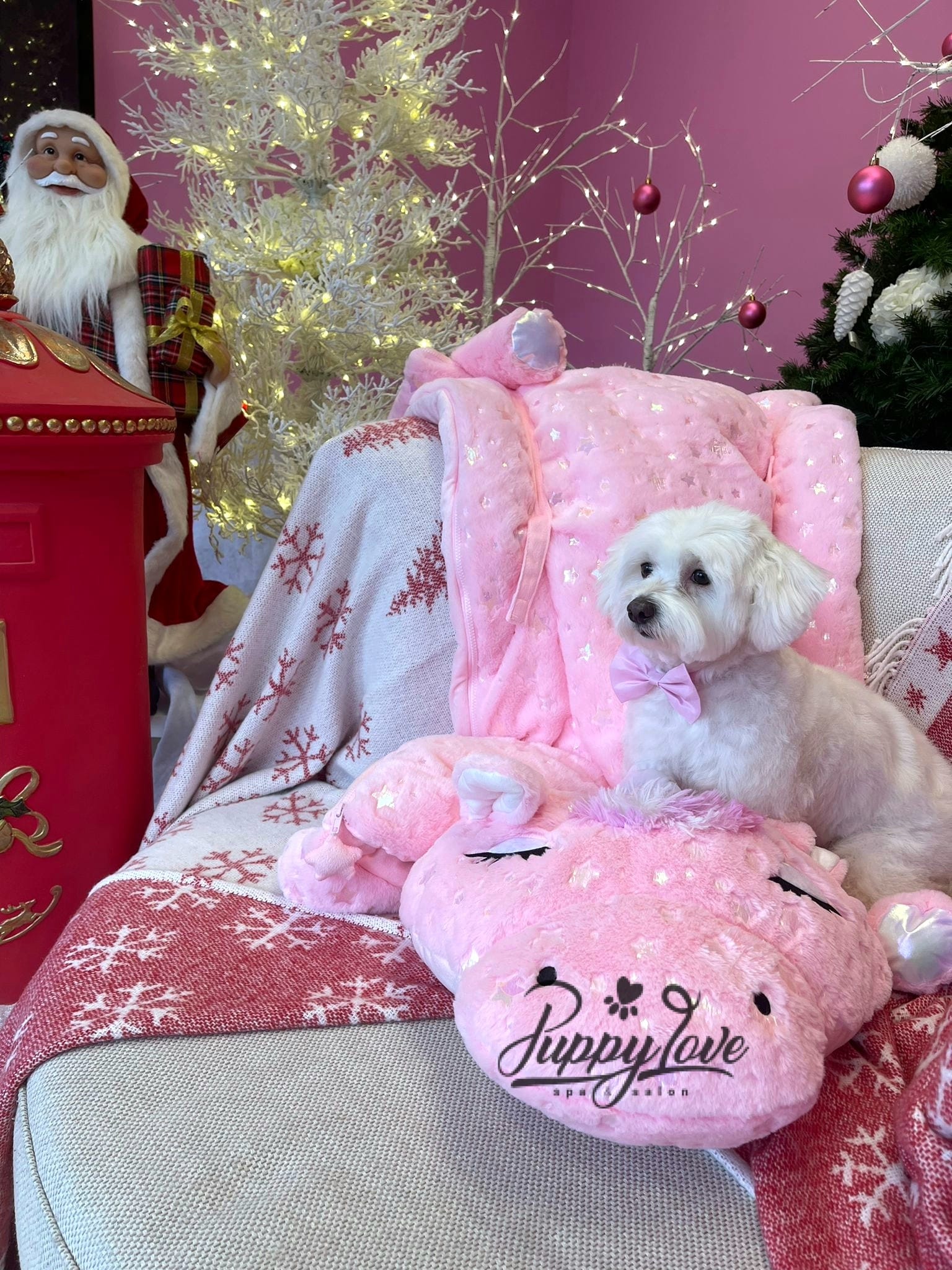 xmas dog