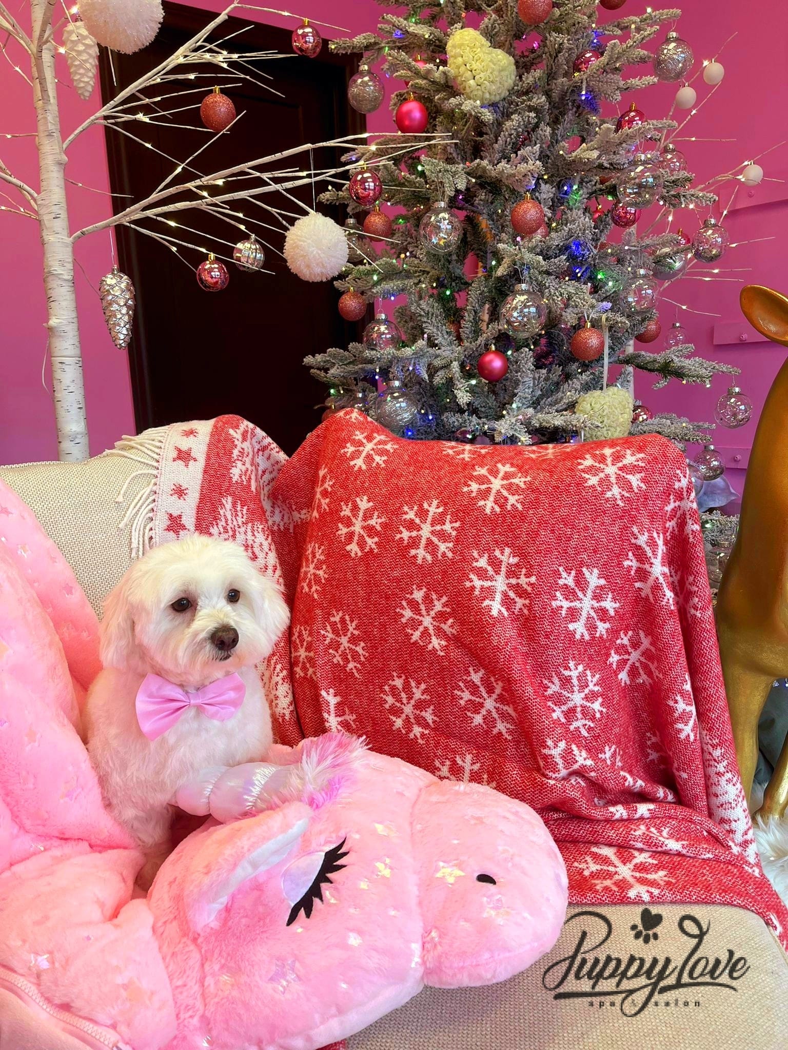 xmas dog