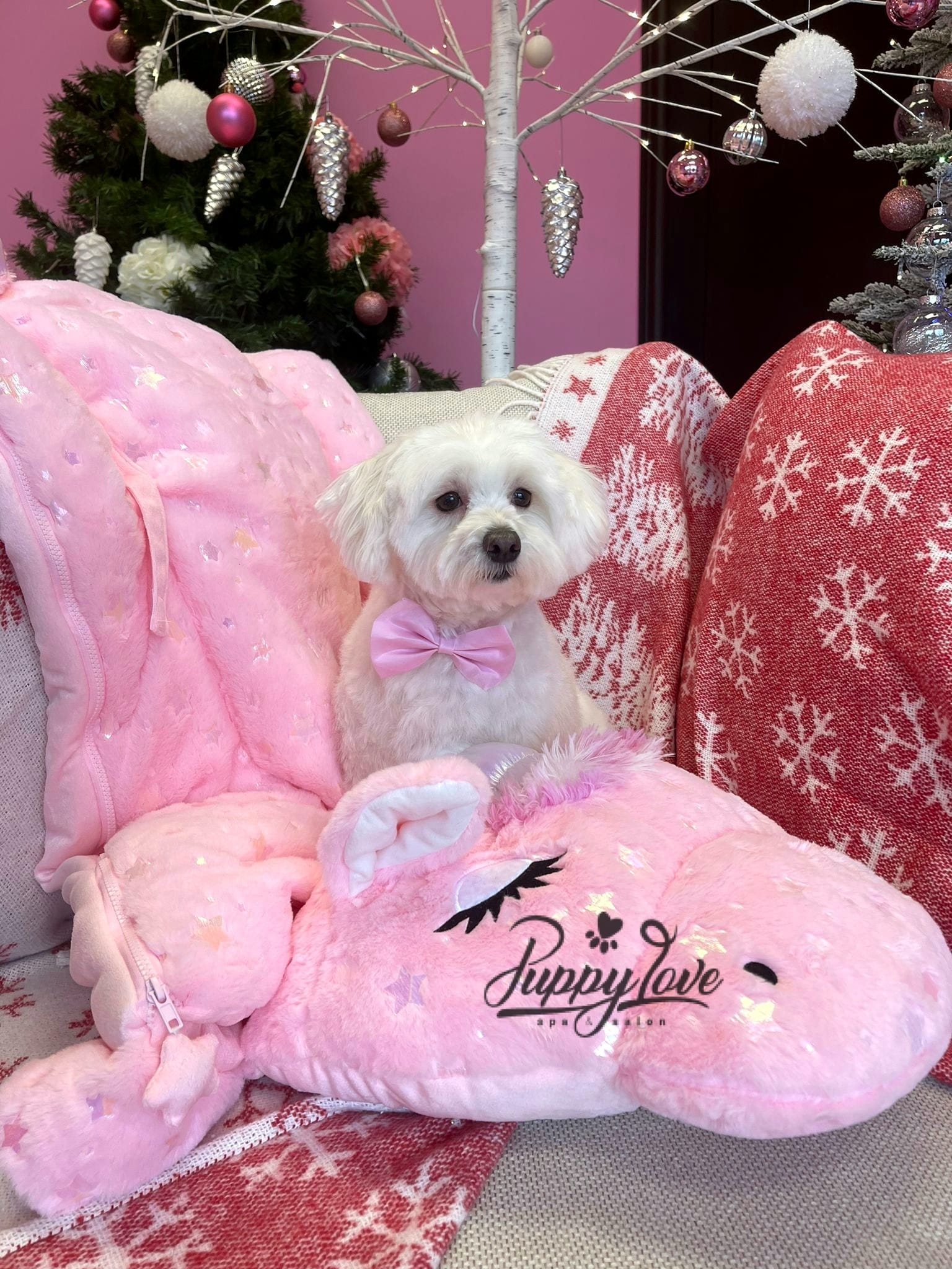 xmas dog