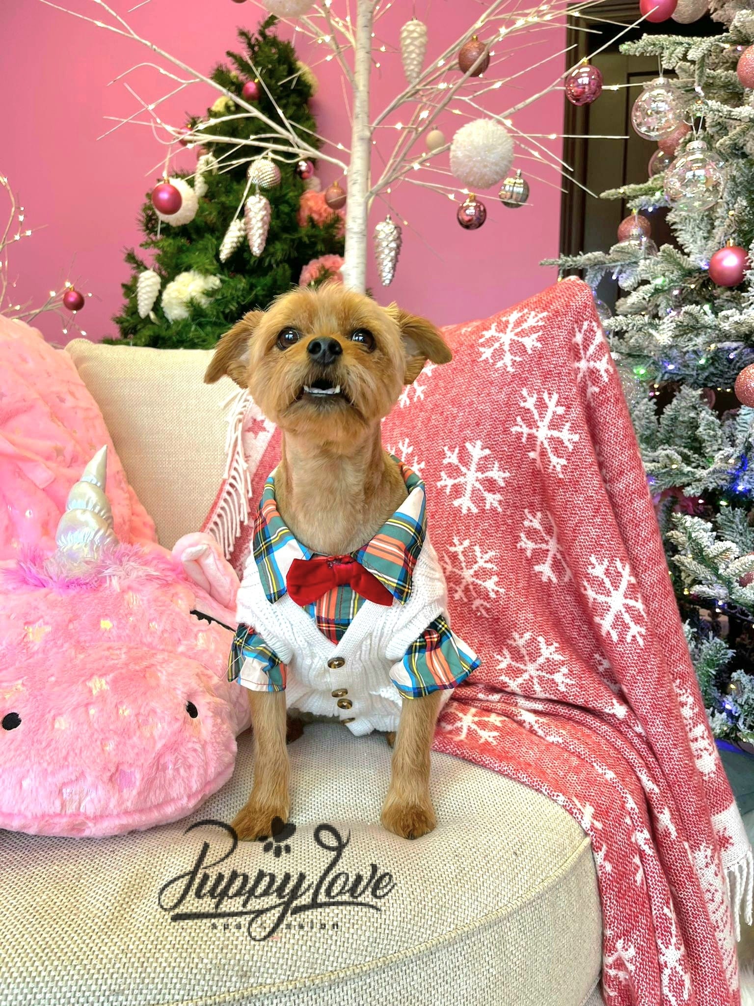 xmas dog