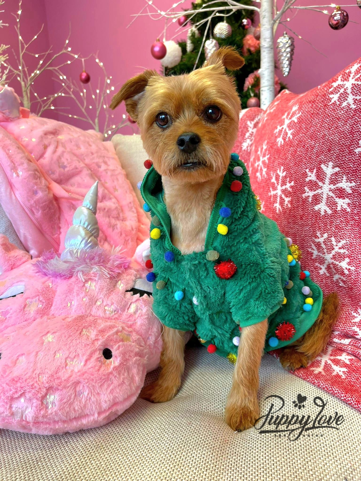 xmas dog