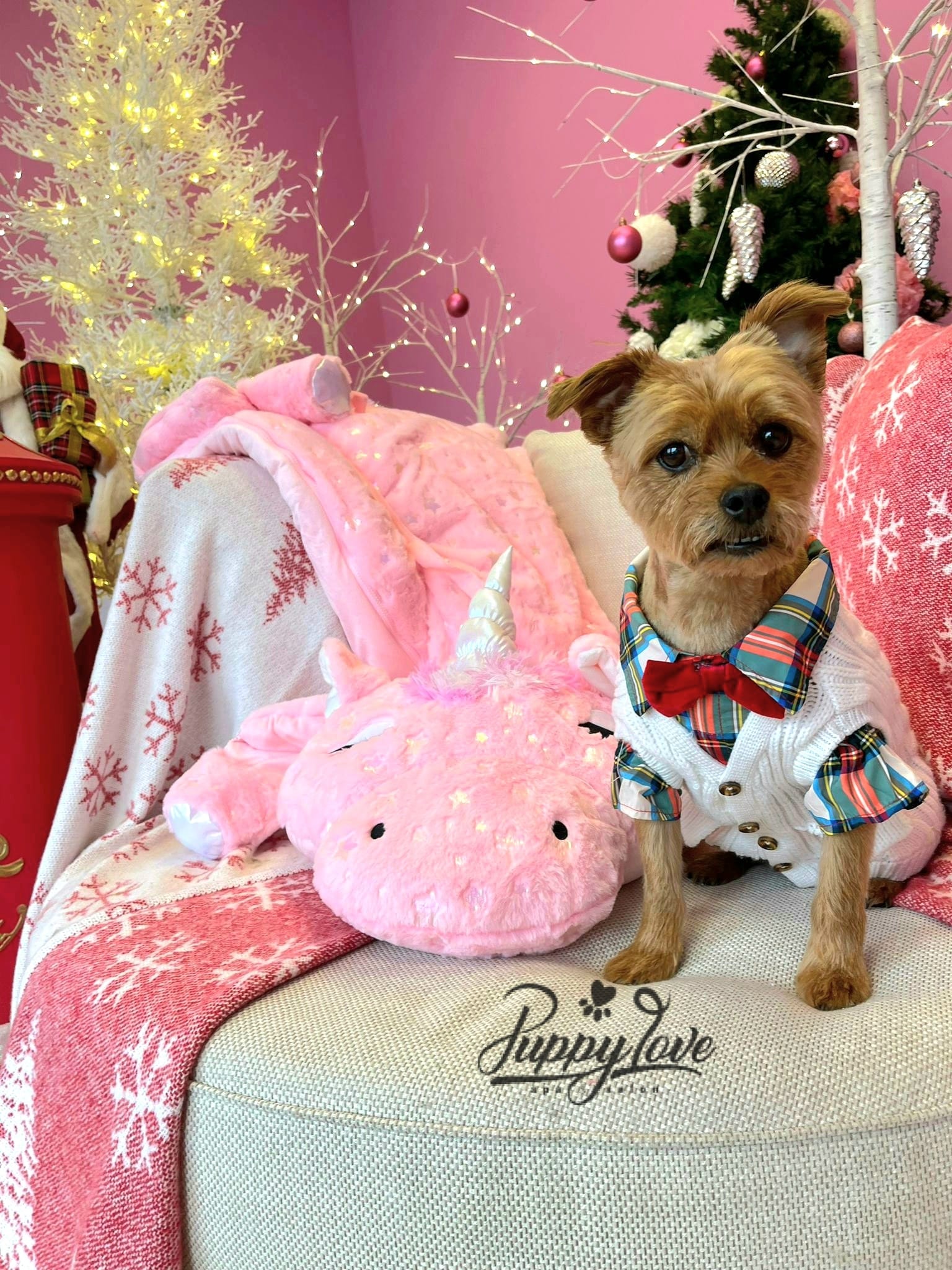 xmas dog