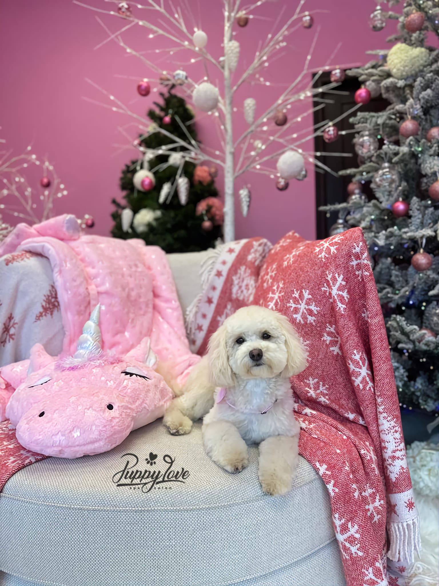 xmas-dog-8