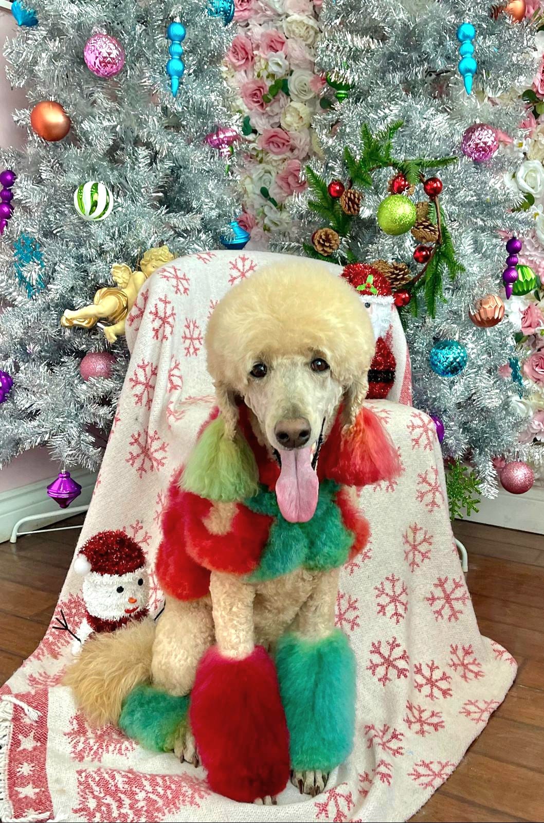 christmas dog 302