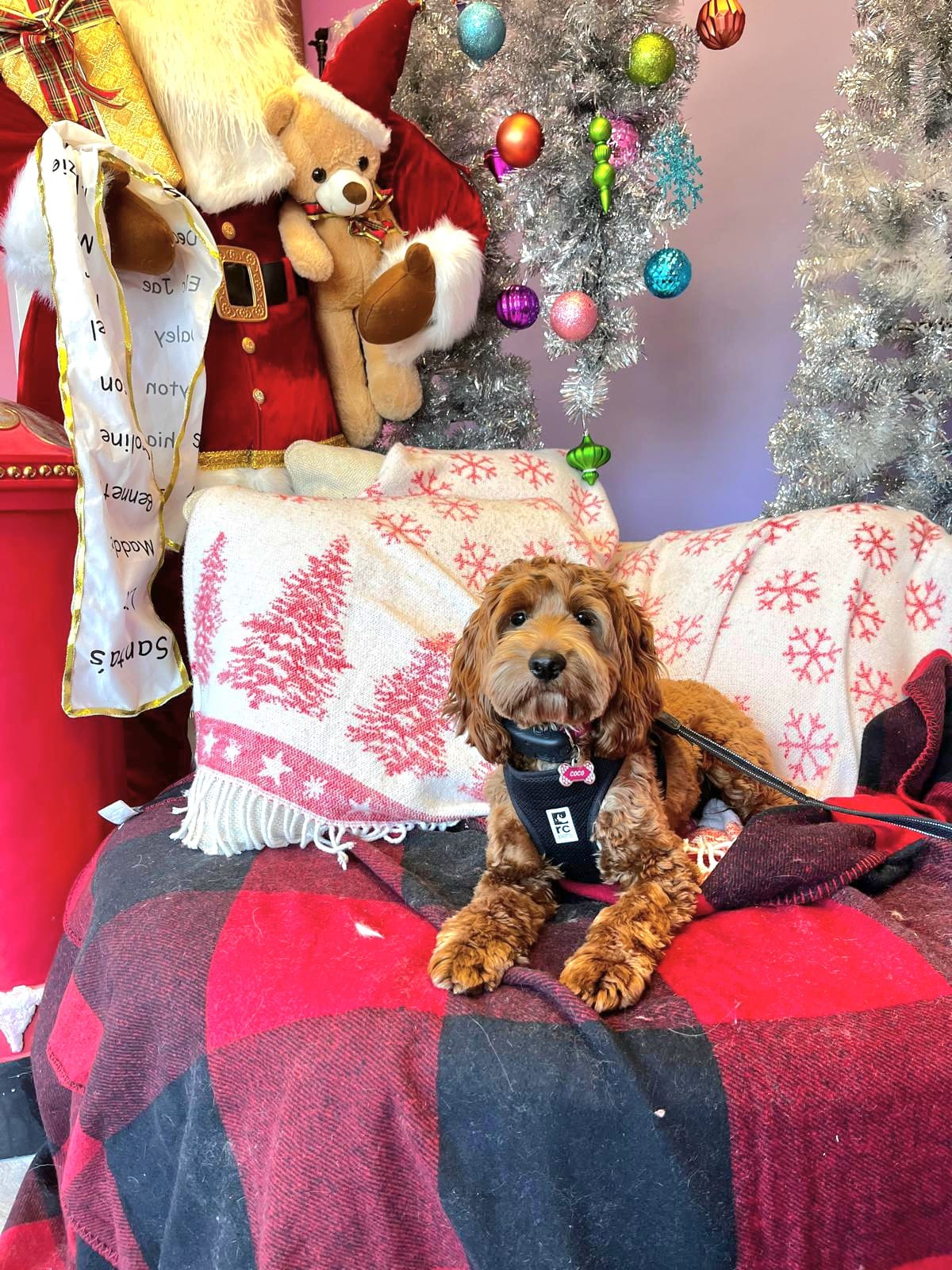 christmas dog 271