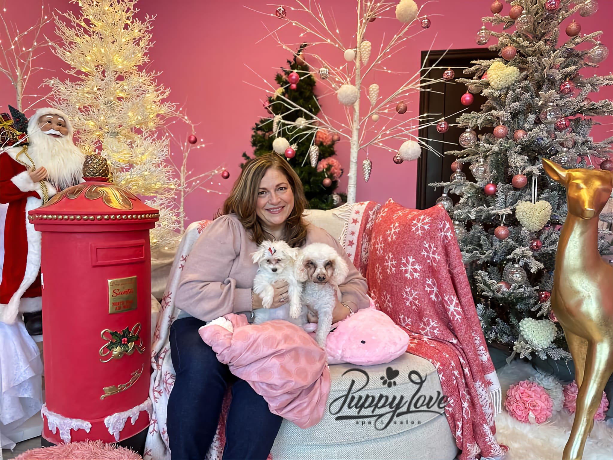 xmas dog