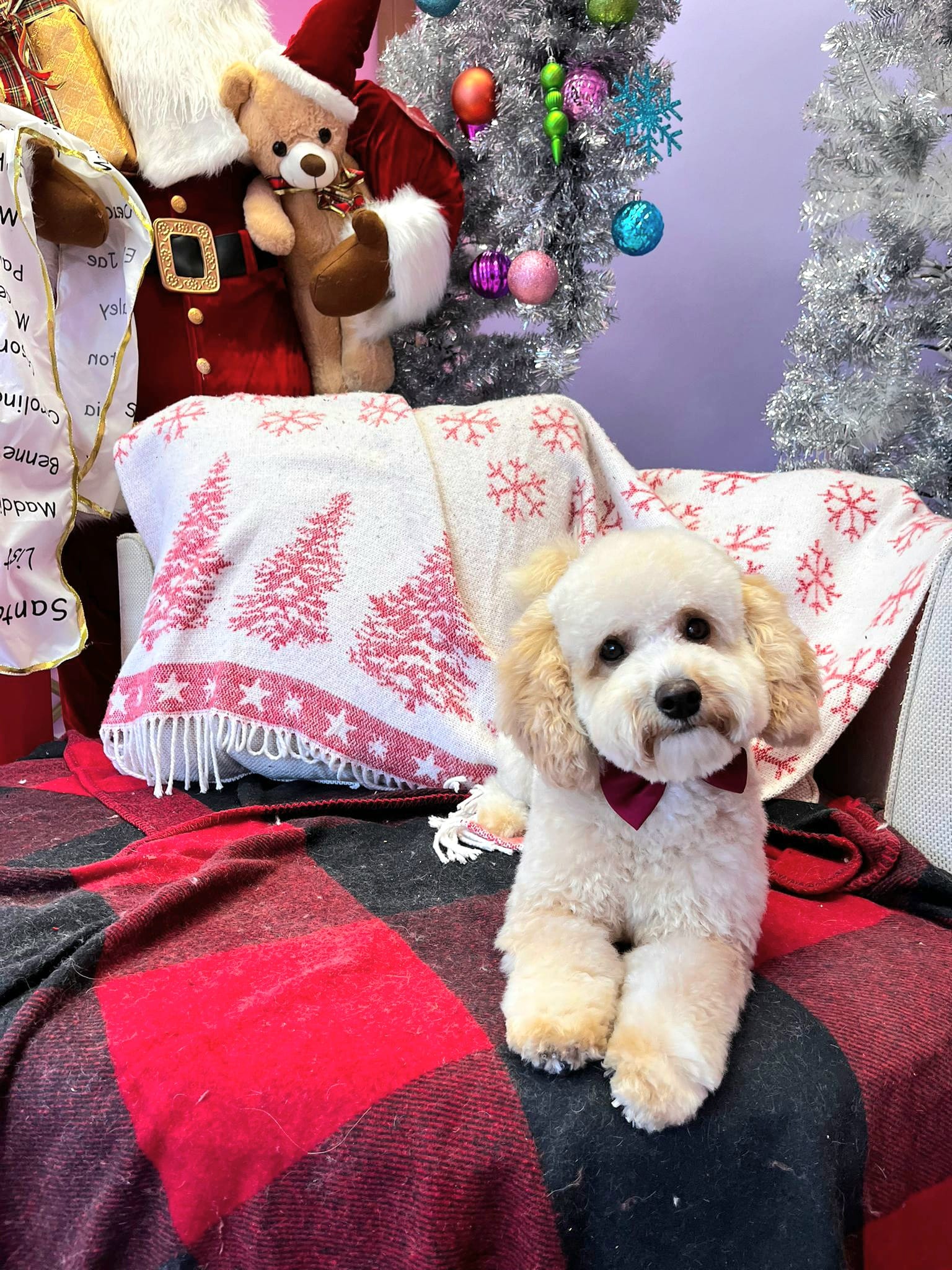 christmas dog 287