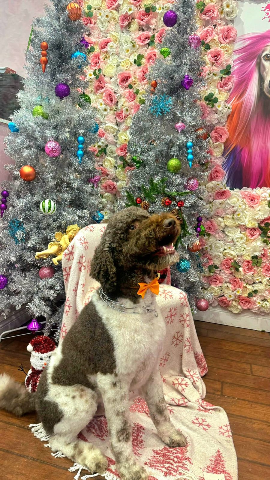 christmas dog 314