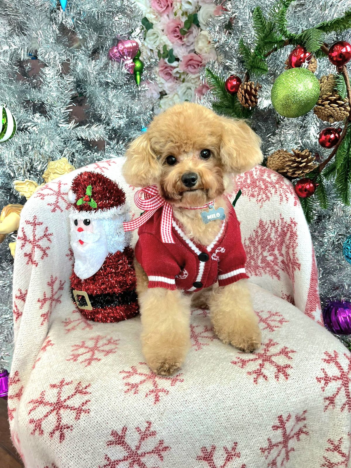 christmas dog 301
