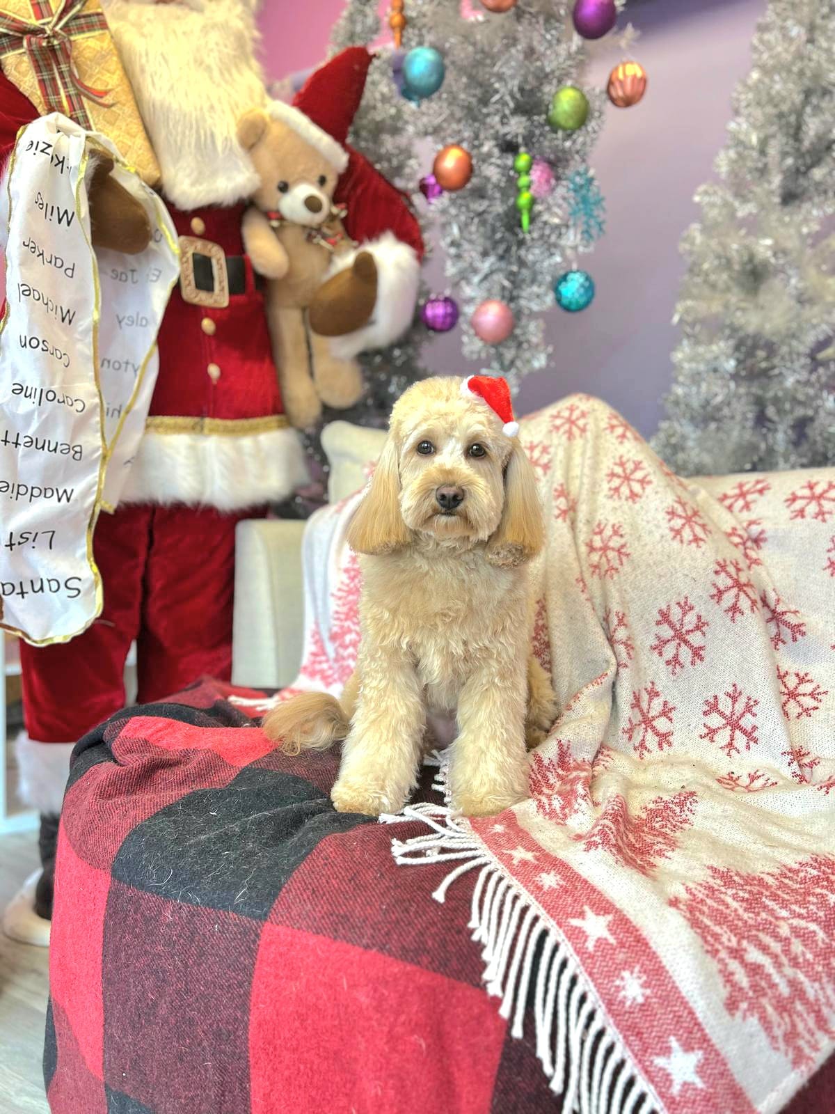 christmas dog 325