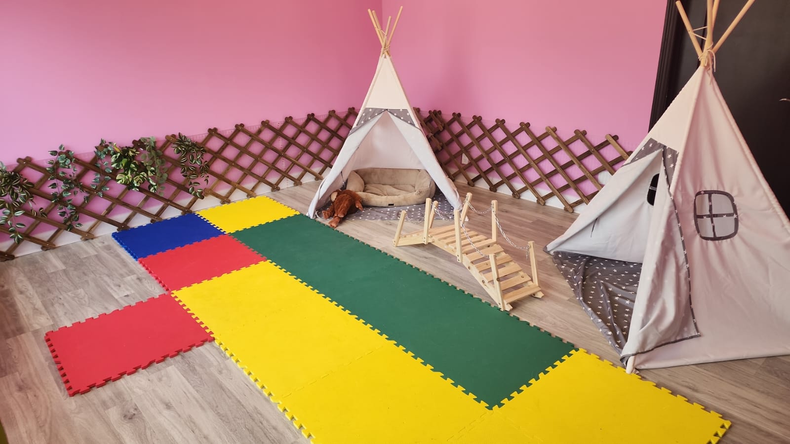 Daycare & Boarding