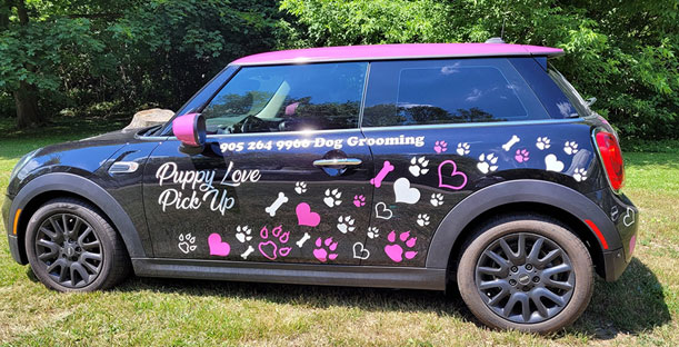 The Puppy Love Team