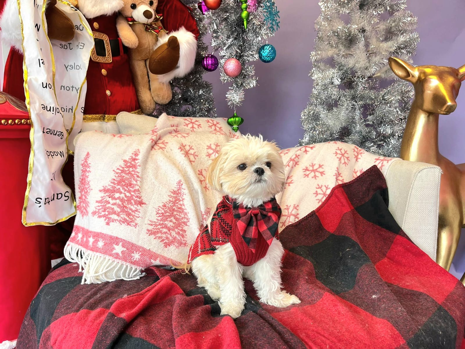 christmas dog 291