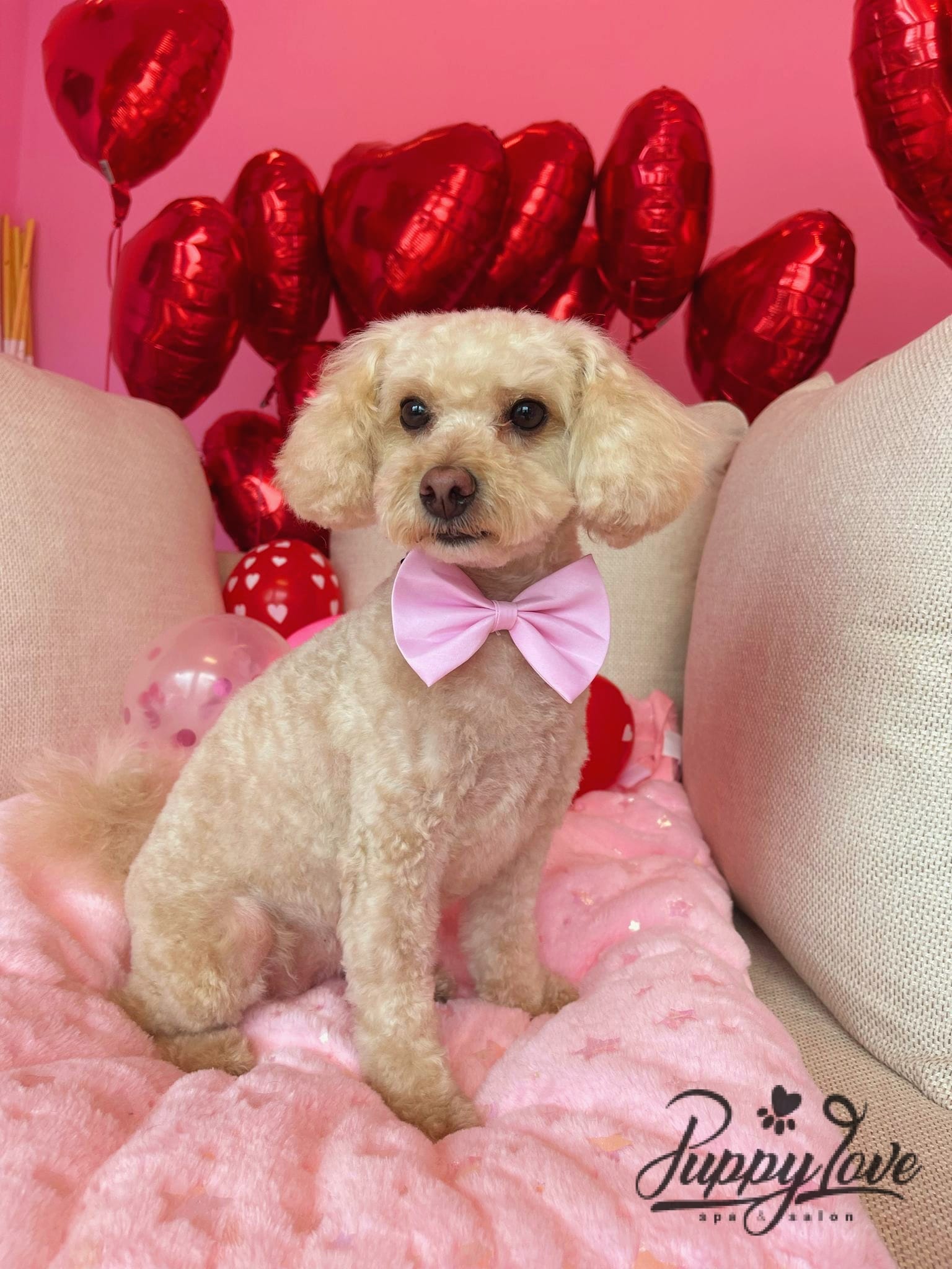 valentines-34