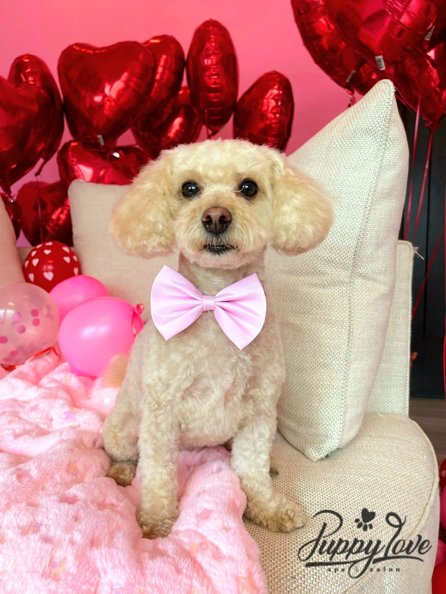 valentines-35